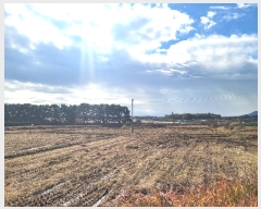  2024Ÿ��60273  �Ӿ߰��