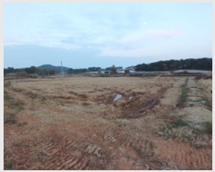  2024Ÿ��60273  �Ӿ߰��