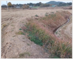  2024Ÿ��60273  �Ӿ߰��