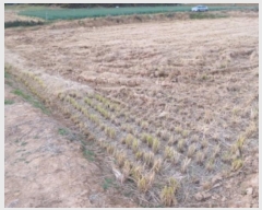  2024Ÿ��60273  �Ӿ߰��