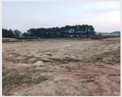  2024Ÿ��60273  �Ӿ߰��