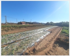  2024Ÿ��60570 �泲 ����� �μ��� �۽ø� 128      ����(��1)���