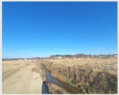  2024Ÿ61061 泲  ۻ Ű 21-5      ()