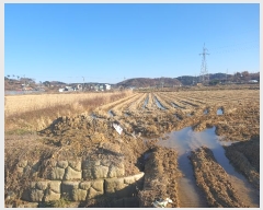  2024Ÿ61061 泲  ۻ Ű 21-5      ()