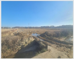  2024Ÿ61061 泲  ۻ Ű 21-5      ()