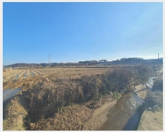  2024Ÿ61061 泲  ۻ Ű 21-5      ()