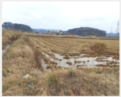  2024Ÿ61061 泲  ۻ Ű 21-5      ()