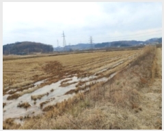  2024Ÿ61061 泲  ۻ Ű 21-5      ()