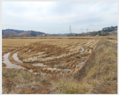  2024Ÿ61061 泲  ۻ Ű 21-5      ()