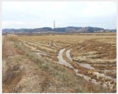  2024Ÿ61061 泲  ۻ Ű 21-5      ()