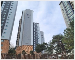  2024Ÿ��61276  ����Ʈ���