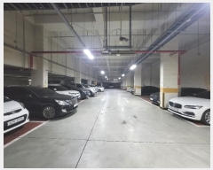  2024Ÿ��61276  ����Ʈ���