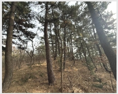  2024Ÿ61801 泲 ¾ȱ ϸ ŵθ 1221-9      (Ӿ)