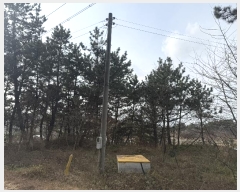  2024Ÿ61801 泲 ¾ȱ ϸ ŵθ 1221-9      (Ӿ)