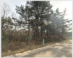  2024Ÿ61801 泲 ¾ȱ ϸ ŵθ 1221-9      (Ӿ)