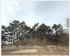  2024Ÿ61801 泲 ¾ȱ ϸ ŵθ 1221-9      (Ӿ)