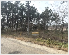  2024Ÿ61801 泲 ¾ȱ ϸ ŵθ 1221-9      (Ӿ)