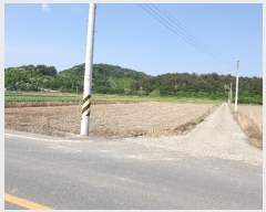  2024Ÿ4148  û ̼ ̸ 620-3      ()