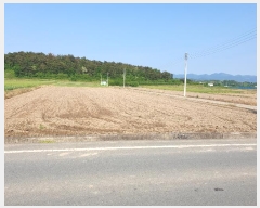  2024Ÿ4148  û ̼ ̸ 620-3      ()