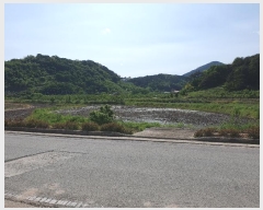  2024Ÿ4148  û ̼ ̸ 620-3      ()