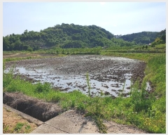  2024Ÿ4148  û ̼ ̸ 620-3      ()