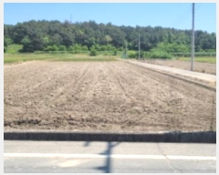  2024Ÿ4148  û ̼ ̸ 620-3      ()