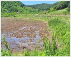  2024Ÿ4148  û ̼ ̸ 620-3      ()