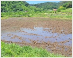  2024Ÿ4148  û ̼ ̸ 620-3      ()