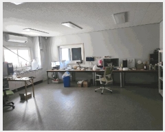  2024Ÿ��125236  ������