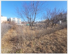  2024Ÿ��129009 ��� ĥ� �ϻ��� ���� 292-1      ����(��)���