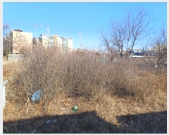  2024Ÿ��129009 ��� ĥ� �ϻ��� ���� 292-1      ����(��)���