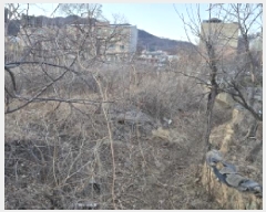  2024Ÿ��129009 ��� ĥ� �ϻ��� ���� 292-1      ����(��)���