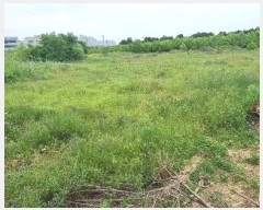  2024Ÿ��4889 �뱸 ���� ��ȣ�� 340-12       ����(��1)���