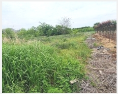  2024Ÿ��4889 �뱸 ���� ��ȣ�� 340-12       ����(��1)���