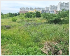  2024Ÿ��4889 �뱸 ���� ��ȣ�� 340-12       ����(��1)���