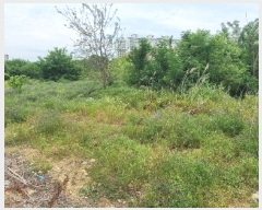  2024Ÿ��4889 �뱸 ���� ��ȣ�� 340-12       ����(��1)���