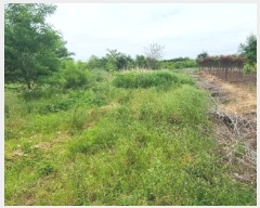  2024Ÿ��4889 �뱸 ���� ��ȣ�� 340-12       ����(��1)���