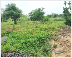  2024Ÿ��4889 �뱸 ���� ��ȣ�� 340-12       ����(��1)���