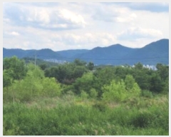  2024Ÿ��4889 �뱸 ���� ��ȣ�� 340-12       ����(��1)���