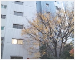  2024Ÿ��9914  ����Ʈ���