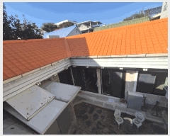  2024Ÿ��10884 �뱸 �ϱ� ��ݵ� 1426-29       ���ð��