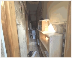  2024Ÿ��10884 �뱸 �ϱ� ��ݵ� 1426-29       ���ð��