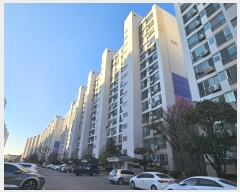  2024Ÿ11122 뱸  ȭ80 8, 105 141418ȣ (̵,氭̸)    Ʈ