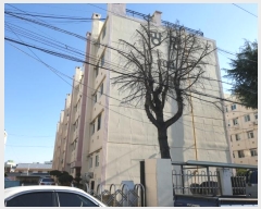  2024Ÿ11214   ߾ʵ5 8-8, õ 4502ȣ     Ʈ