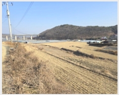  2024Ÿ11603  õ Ͼȸ  305      ()