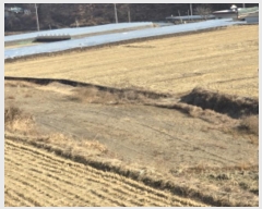  2024Ÿ11603  õ Ͼȸ  305      ()