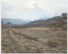  2024Ÿ11603  õ Ͼȸ  305      ()