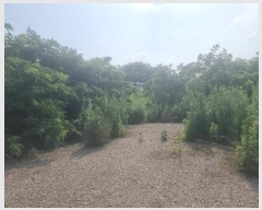  2024Ÿ��114168 ��� ���� ���̸� �ڻ縮 30-5      ����(��1)���