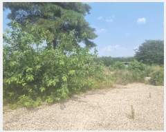  2024Ÿ��114168 ��� ���� ���̸� �ڻ縮 30-5      ����(��1)���