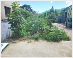  2024Ÿ��114168 ��� ���� ���̸� �ڻ縮 30-5      ����(��1)���